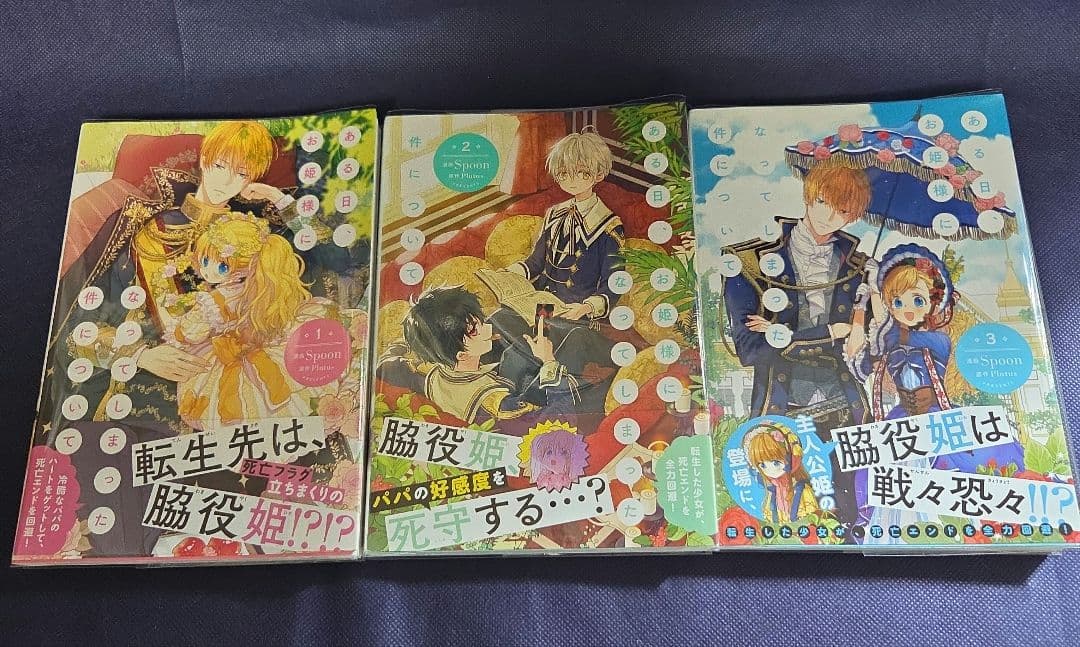 ある日、お姫様になってしまった件について　全13巻