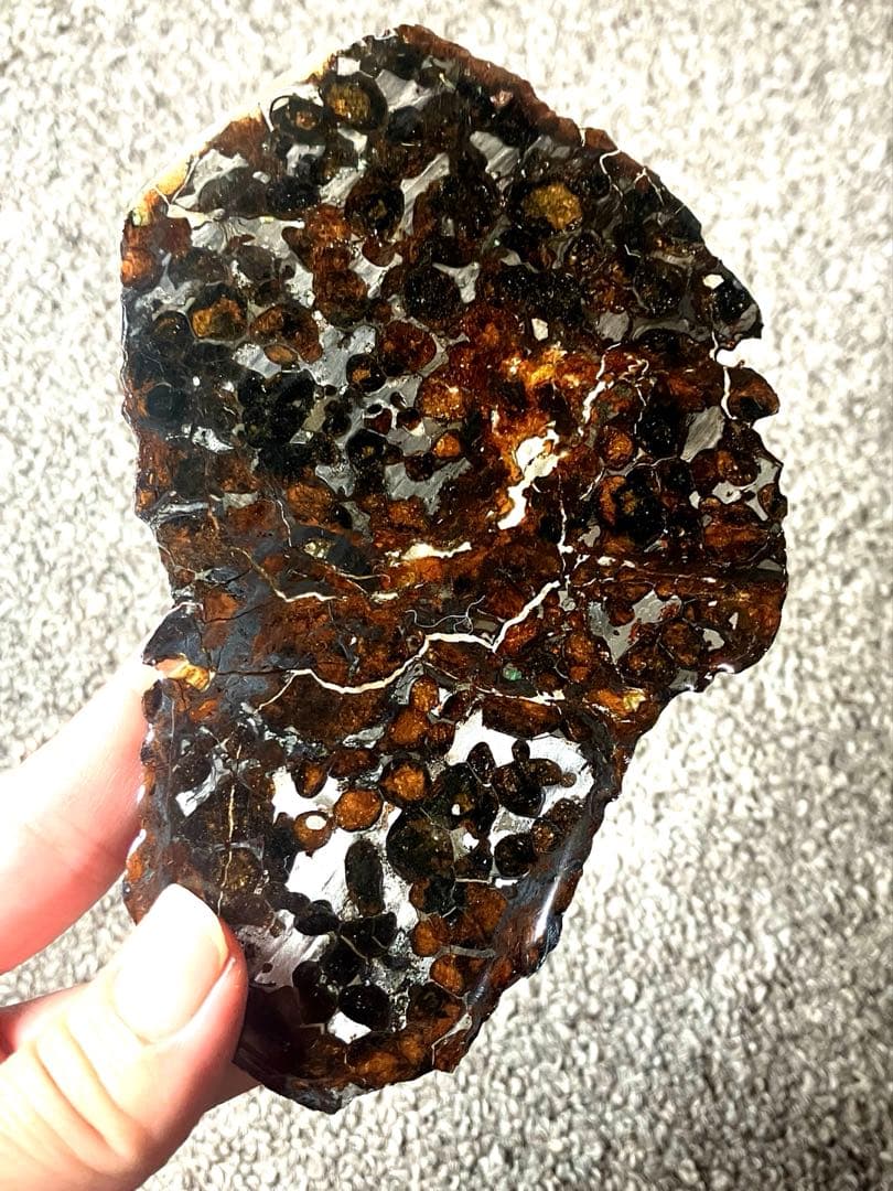 CAESAR　パラサイト隕石 セリコ隕石　石鉄隕石