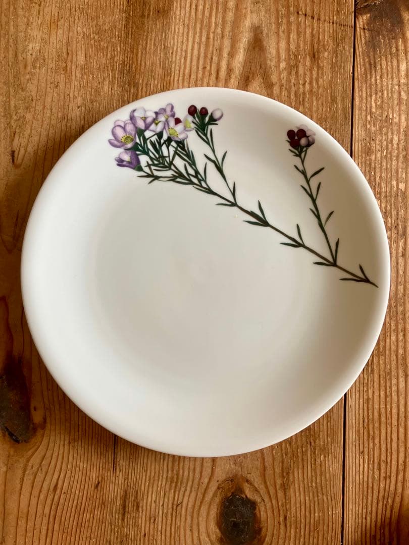 driade(ドリアデ) イタリヤ　花絵柄プレート（5枚組）25ｃｍ