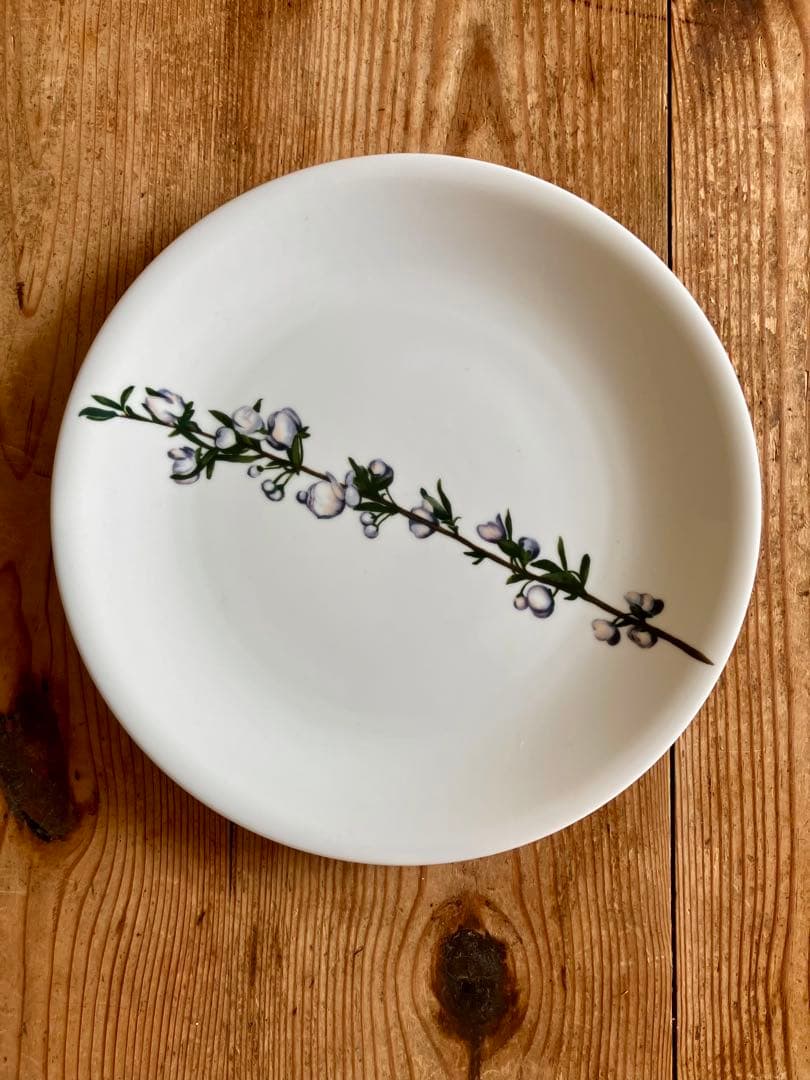 driade(ドリアデ) イタリヤ　花絵柄プレート（5枚組）25ｃｍ