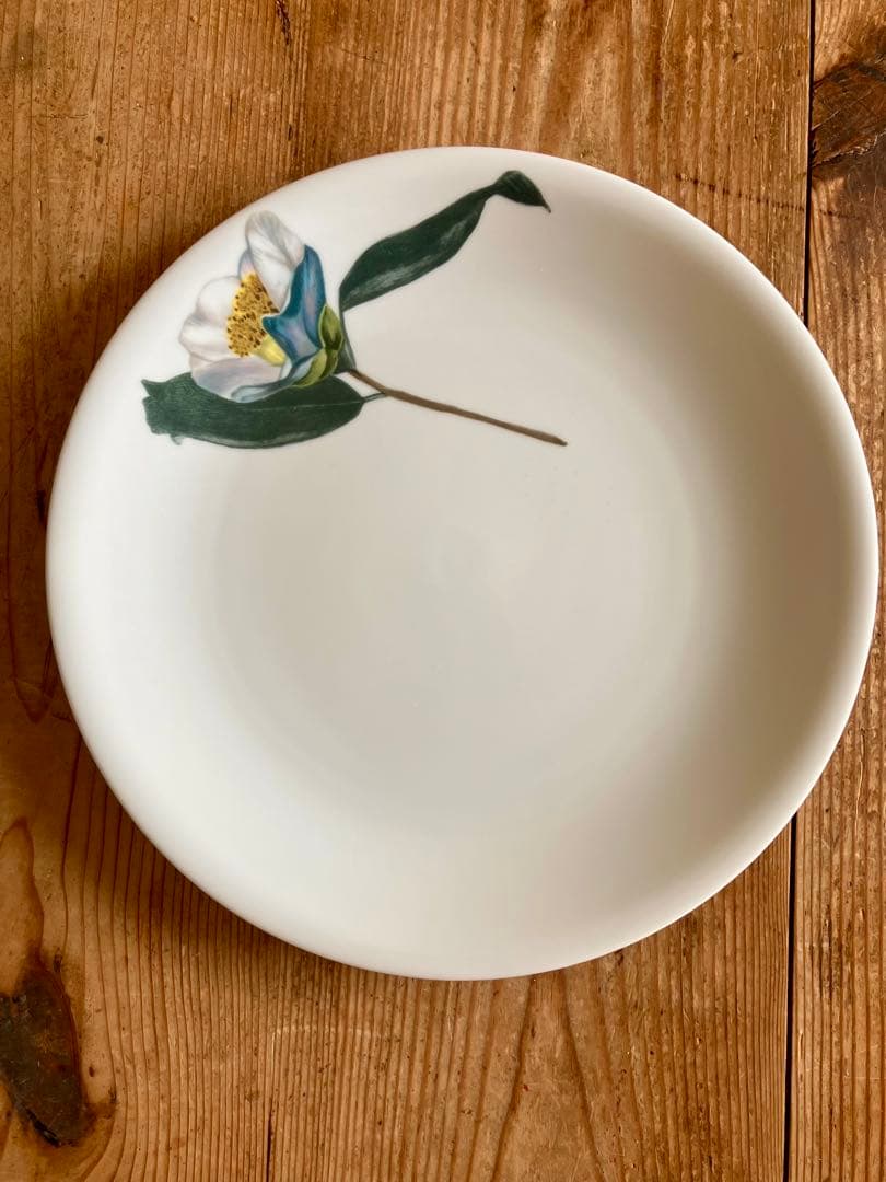 driade(ドリアデ) イタリヤ　花絵柄プレート（5枚組）25ｃｍ