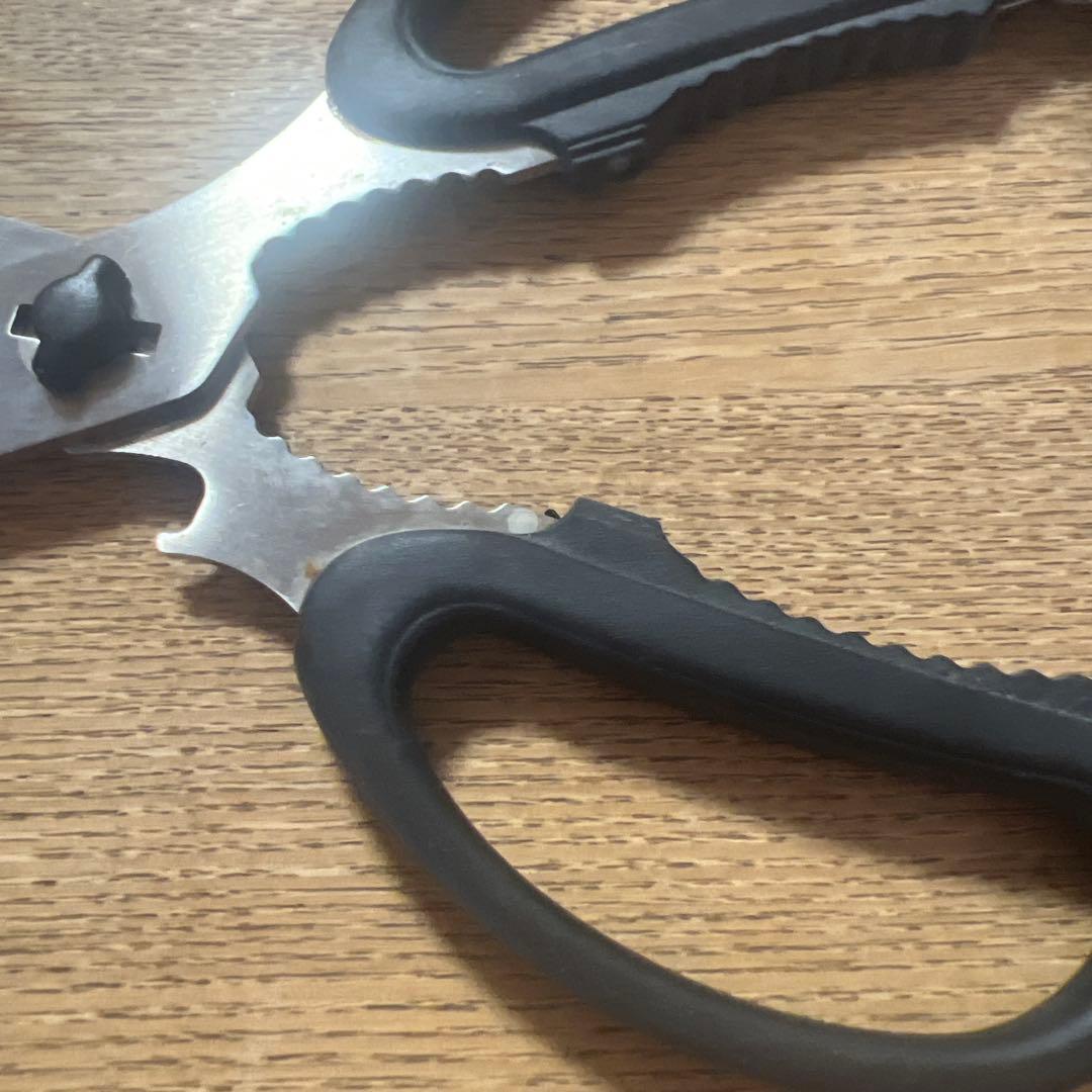 BUCK ステンレススチール はさみ レザーケース付き