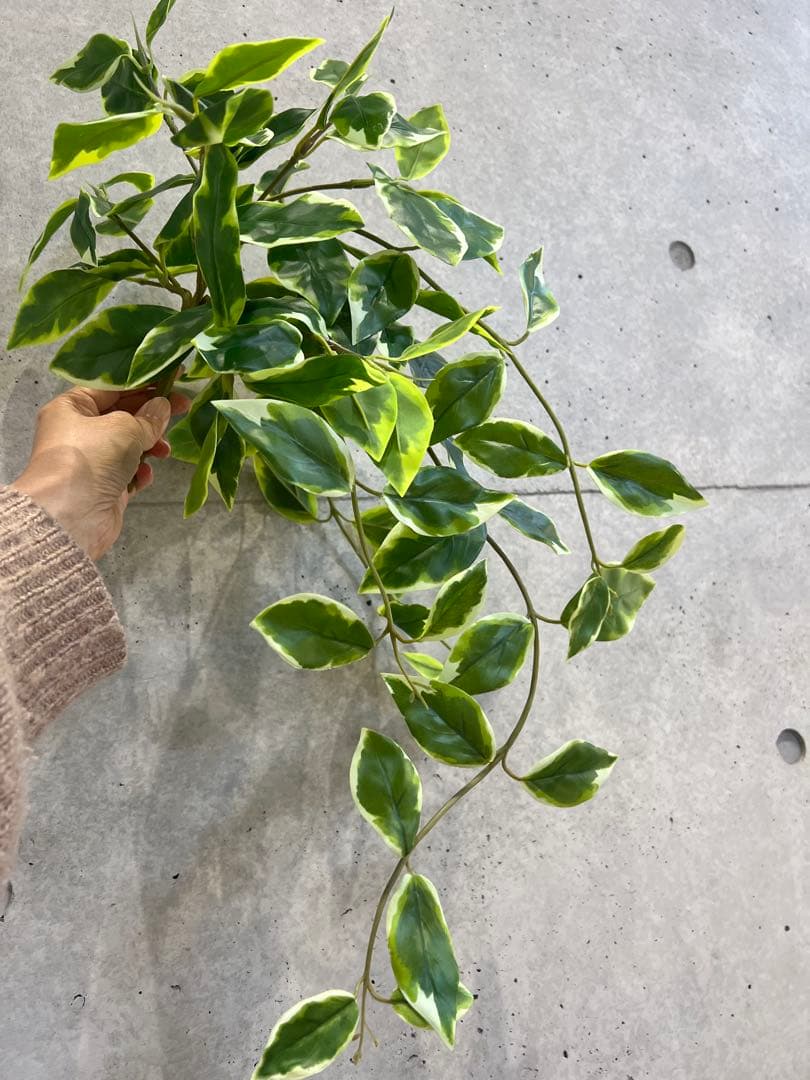 【東京堂】フェイクグリーン　10本セット