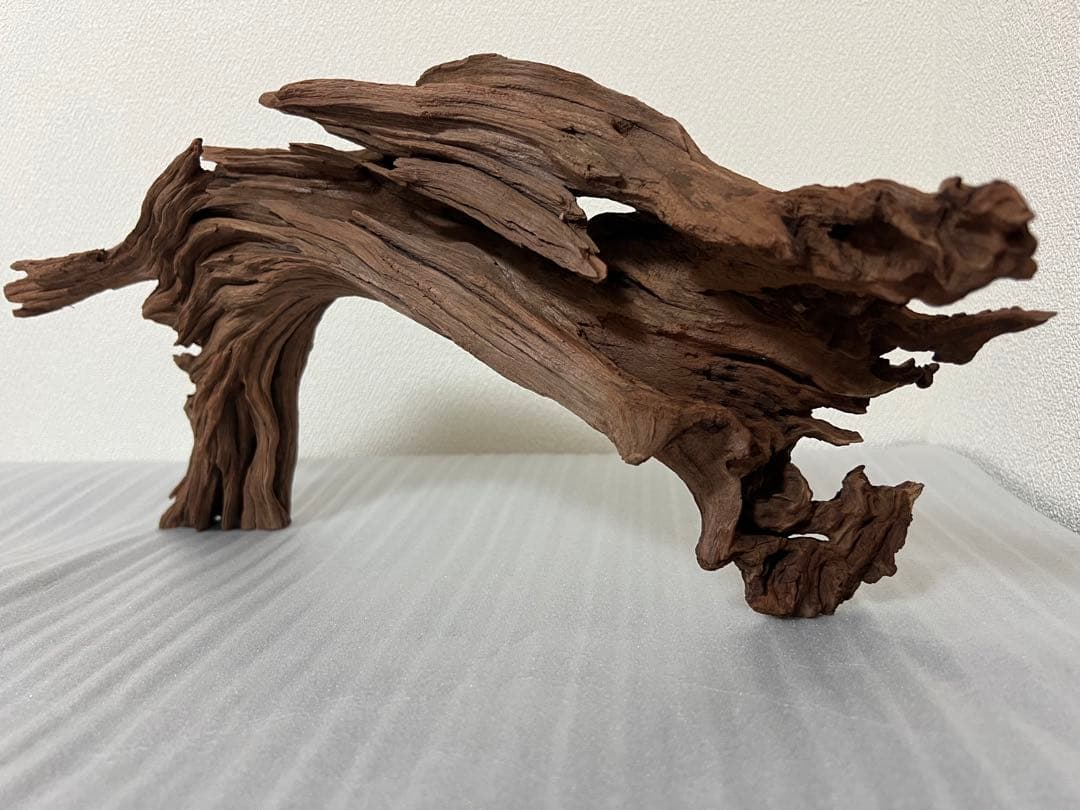 HX-062流木　ホーンウッド　マシンガンウッド　アクアリウム　ブランチウッド