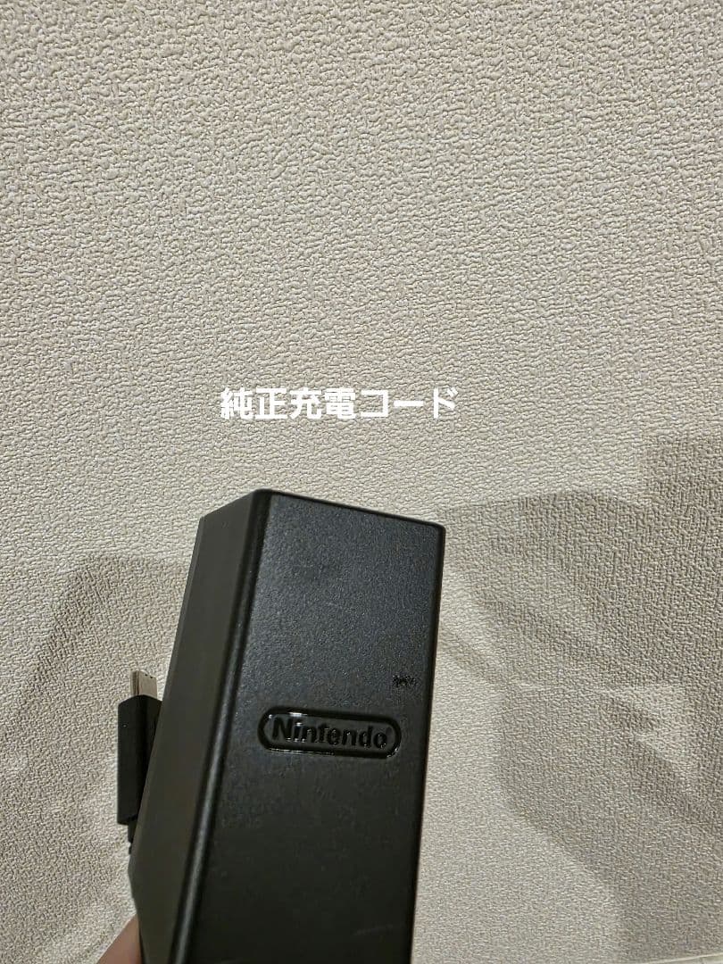 nintendo switch 本体+ケース