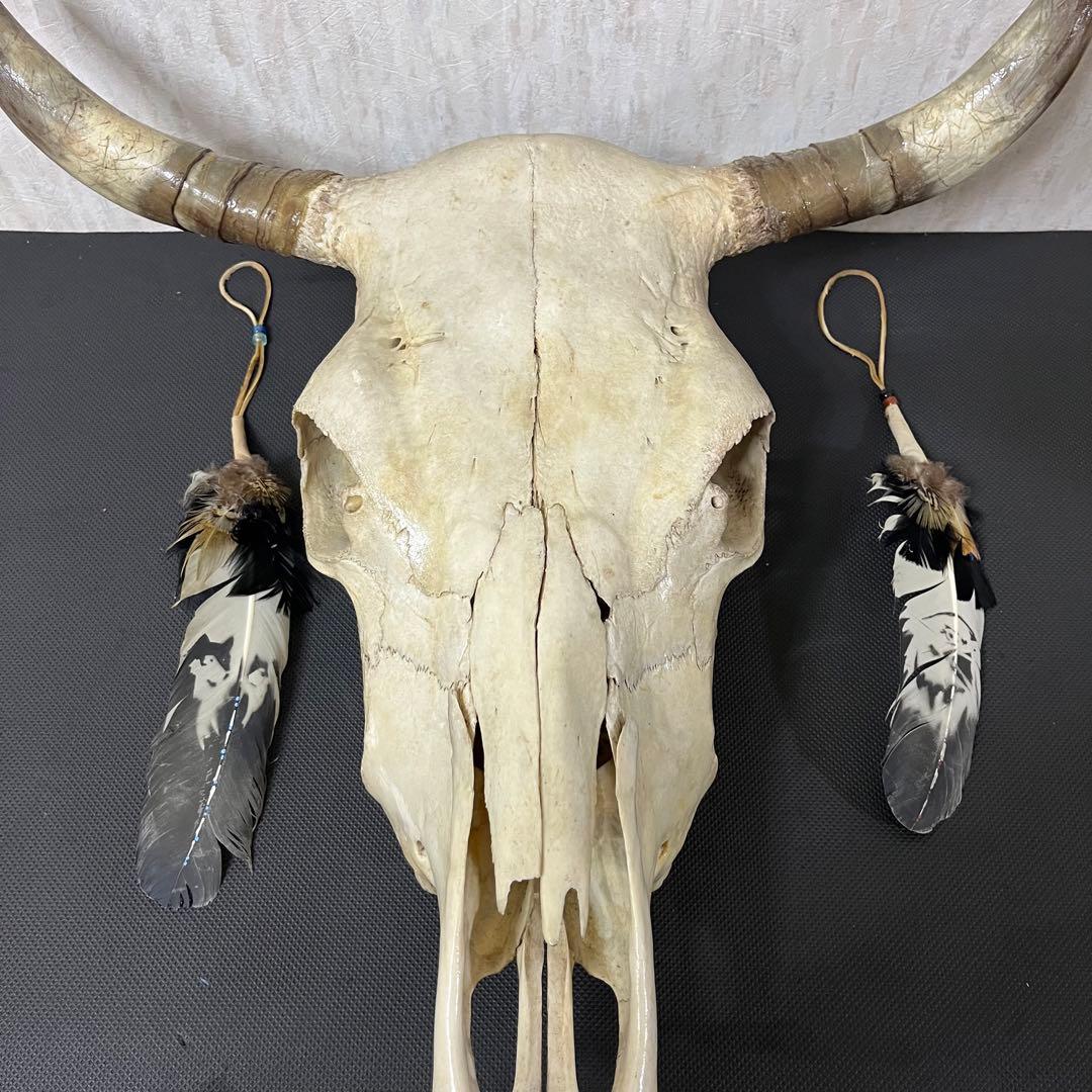 希少品 ヴィンテージ　ビッグサイズ　スカルヘッド　バッファロースカル