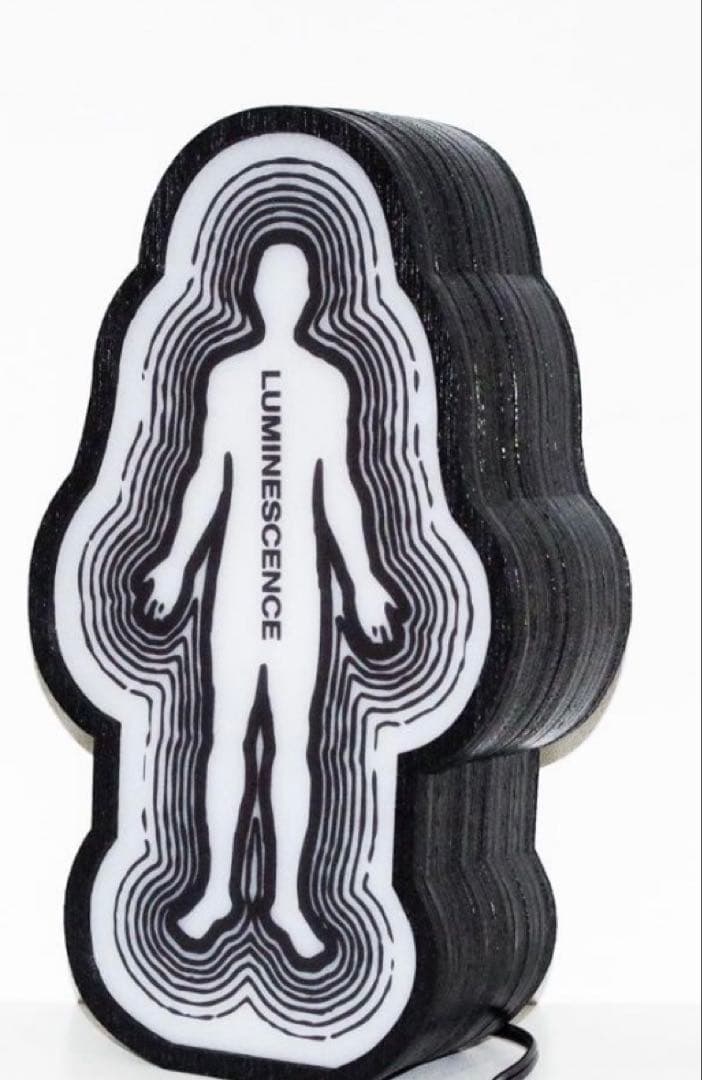 ライト・ランタン  ECONOMICS EXPERIMENT