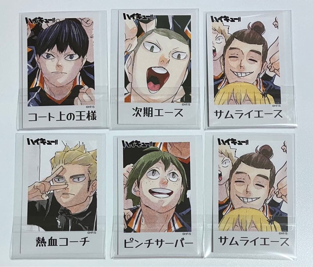 ハイキュー　烏野羽クッキー　両面イラストカード 6点セット