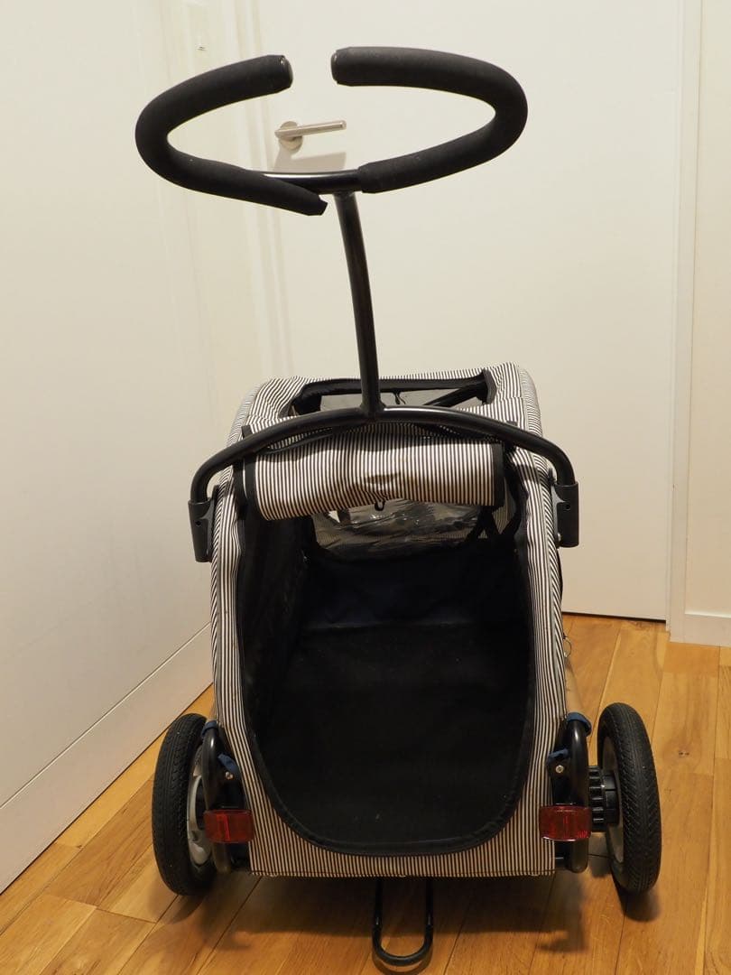 エアバギー トゥインクル マンダリンブラザーズ 限定カラー