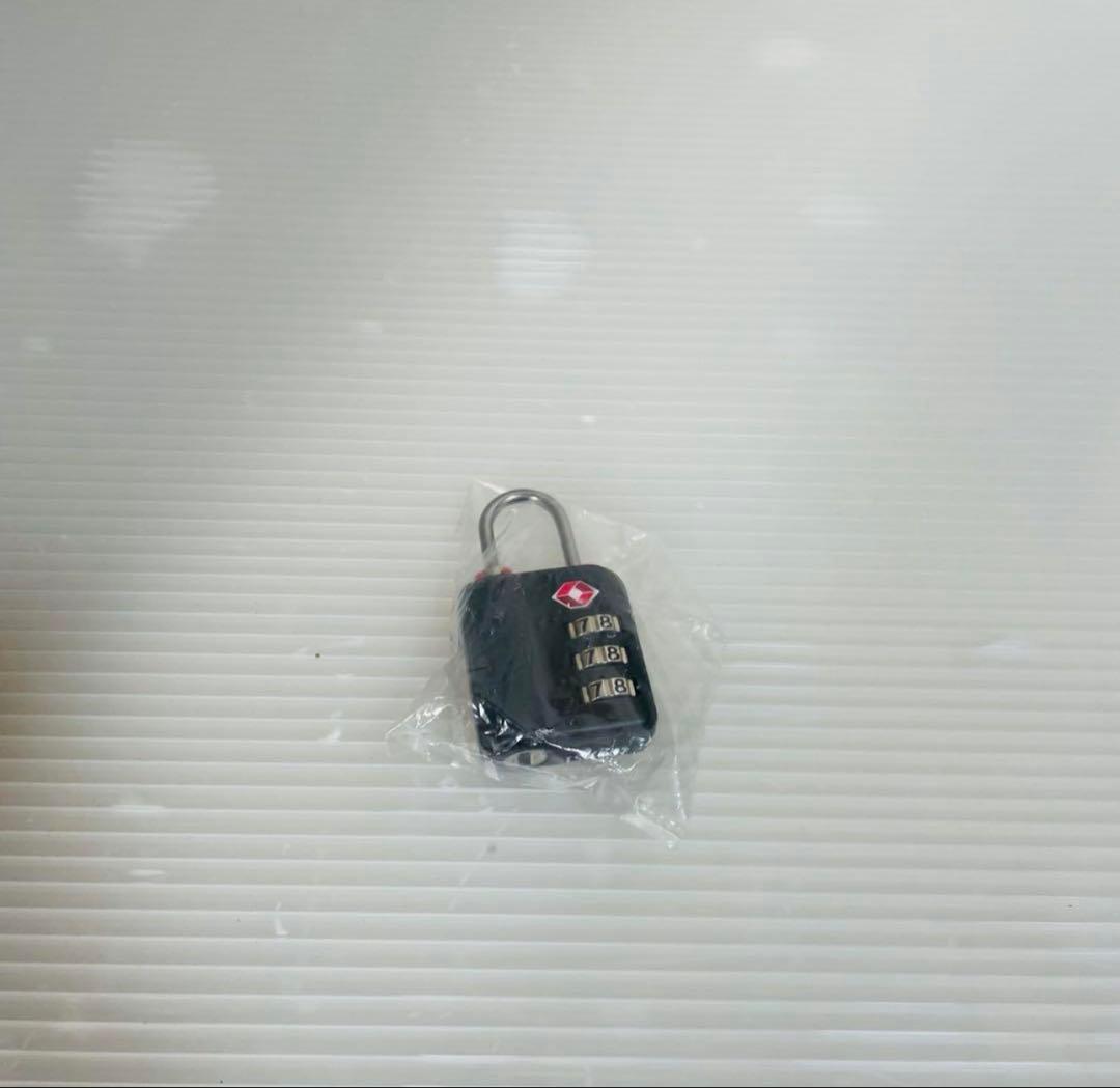 Victorinox ビクトリノックス　トラベルキャリーバッグ