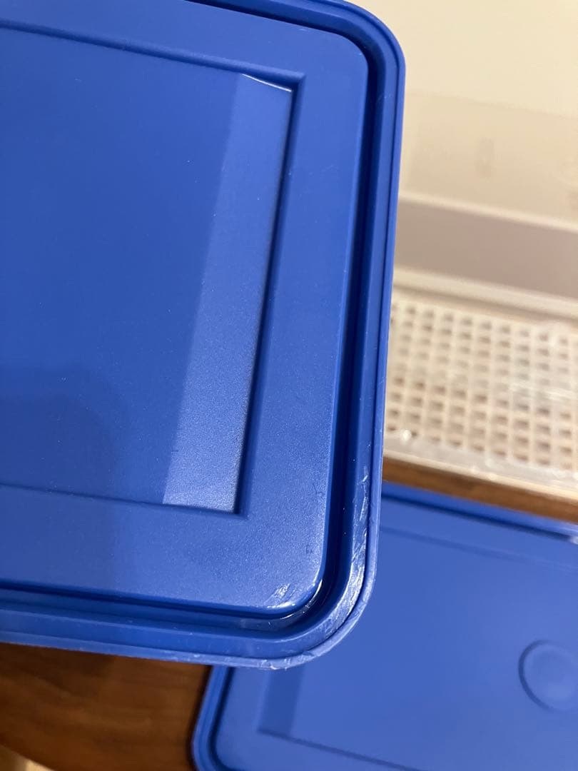 タッパーウェアSS 中３つ小１つ　すのこ付き