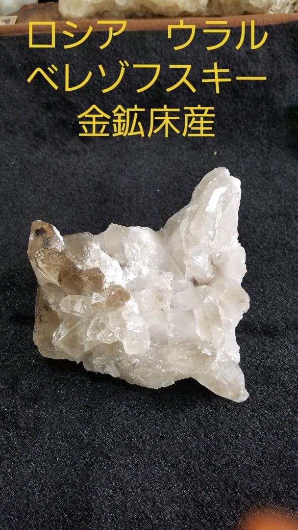 ロシア　ウラルベレゾフスキー金鉱床産No1041