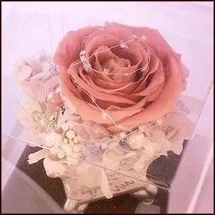 プリザーブドフラワー アレンジメント パープル プレゼント 贈り物