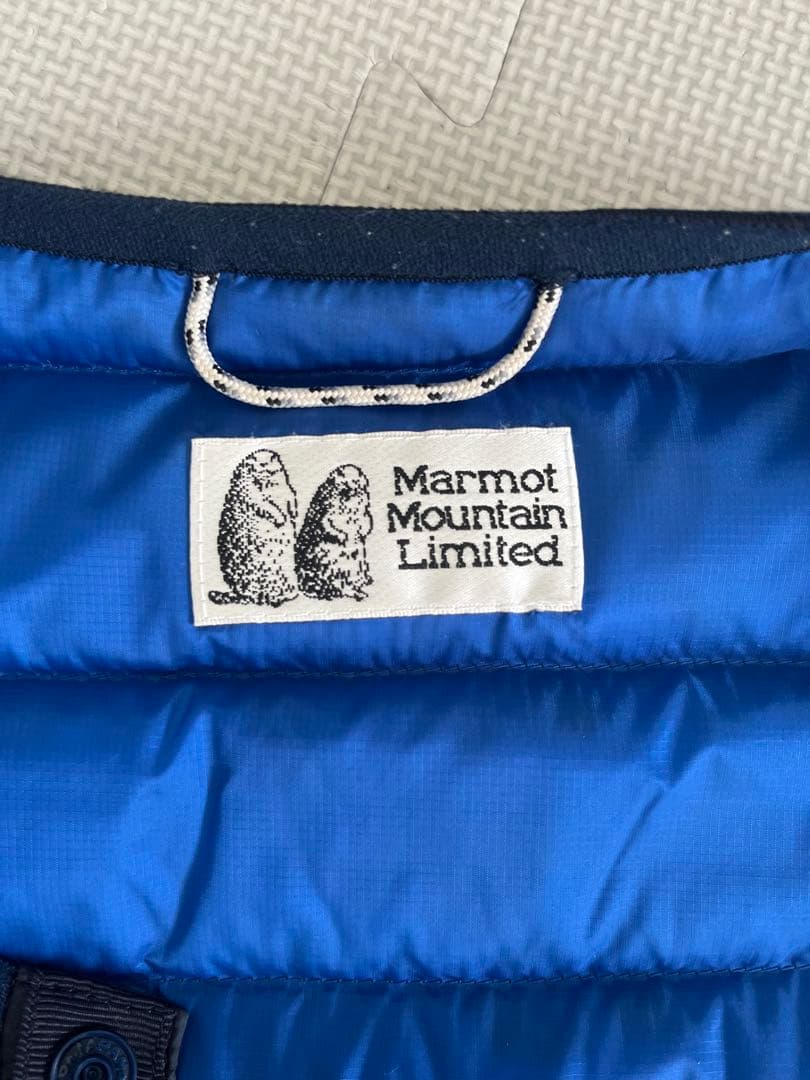 【早いものガチです】Marmot beams コラボmountain