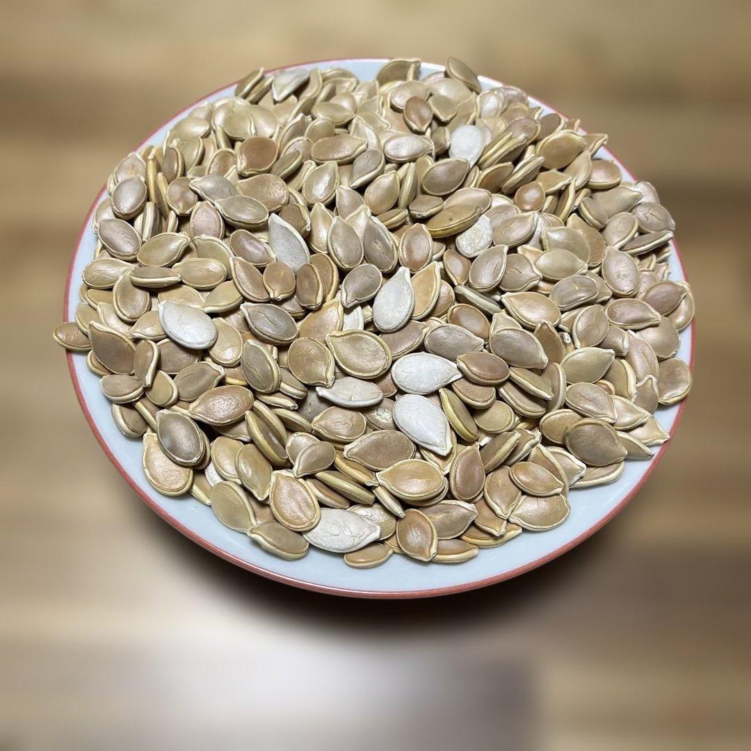 松の実5キロ+かぼちゃの種