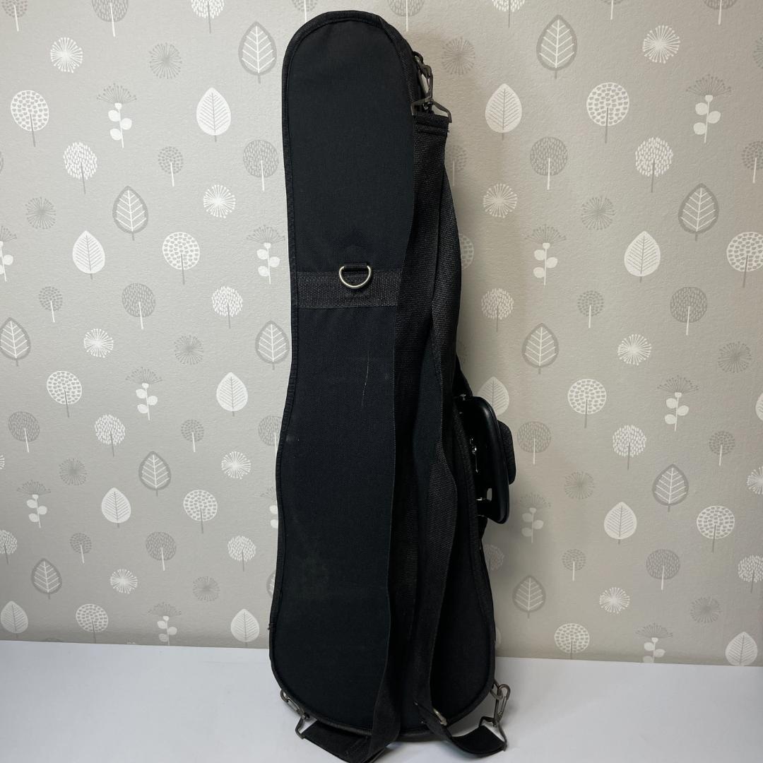 イーストマン VL80 3/4 2015年 バイオリン 分数バイオリン