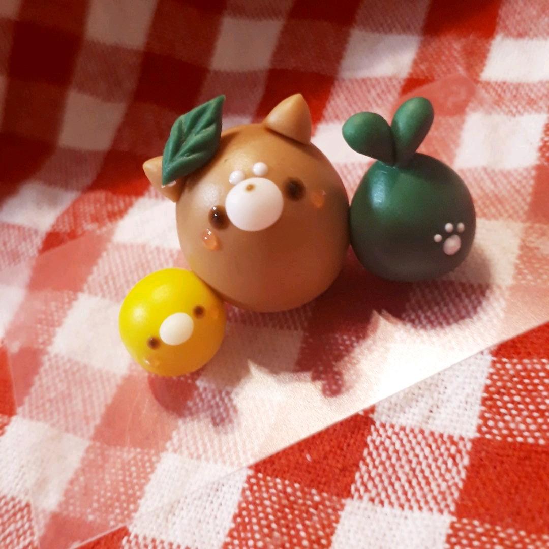 ☆柴犬&ひよこ☆