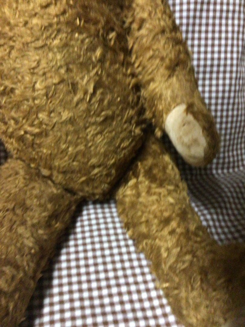 テディベア　1920年代