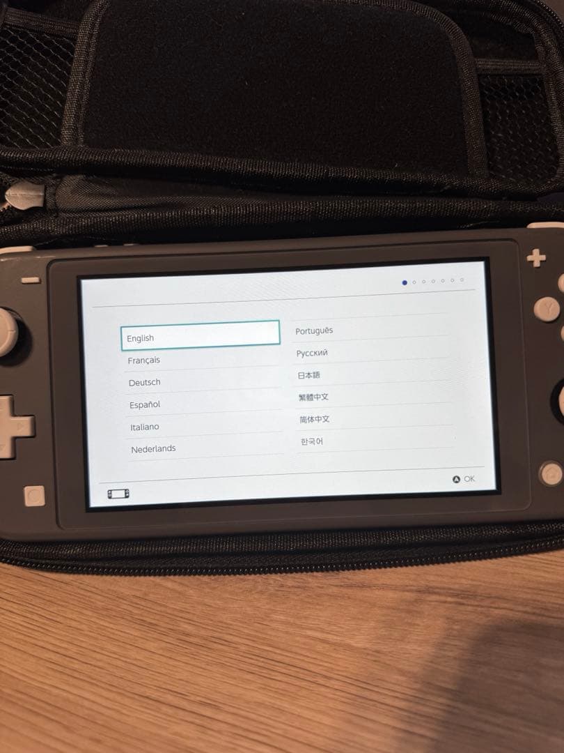 【良品】Nintendo Switch Lite グレー ケース付き