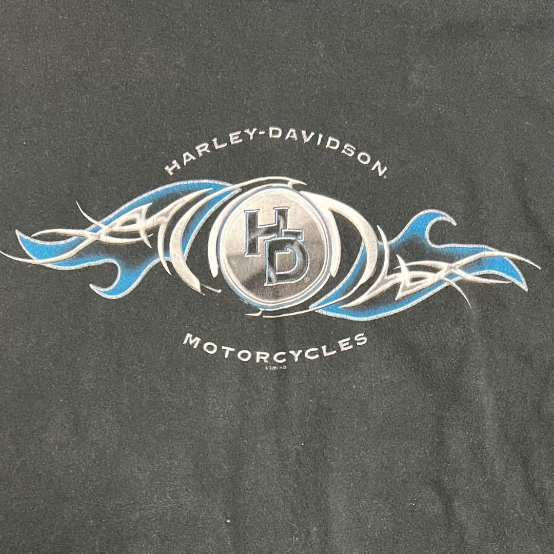 00s USA製 ハーレーダビッドソン フレイム ロンT ブラック XL