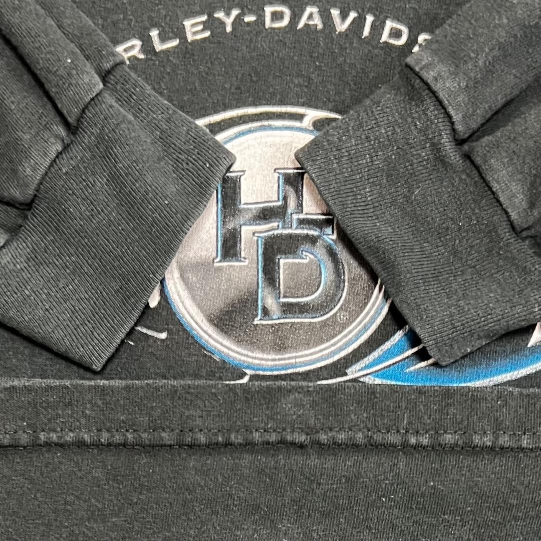 00s USA製 ハーレーダビッドソン フレイム ロンT ブラック XL