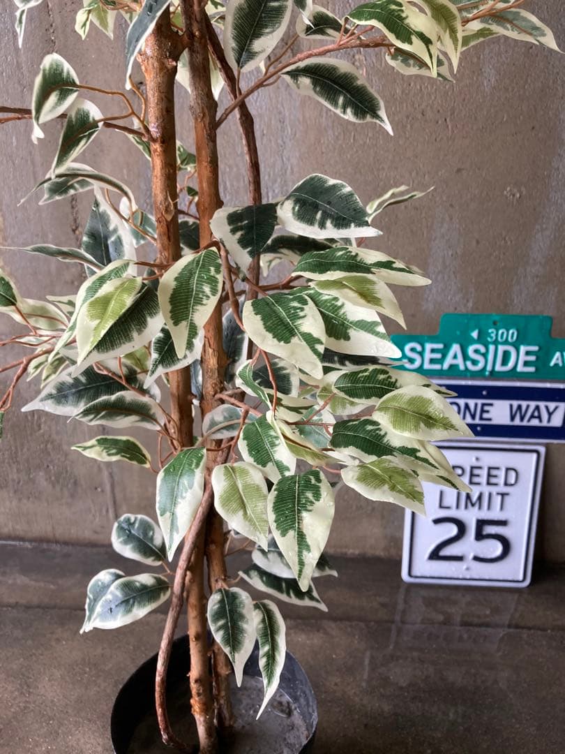 光触媒　人工観葉植物　ウォールグリーン　フェイクグリーン　ベンジャミンフィカスg