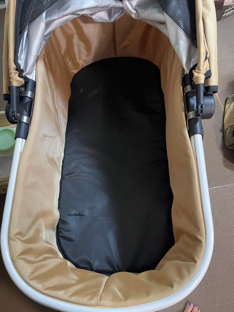 Piccolo Cane TANTO3 人気のシャンパンゴールド