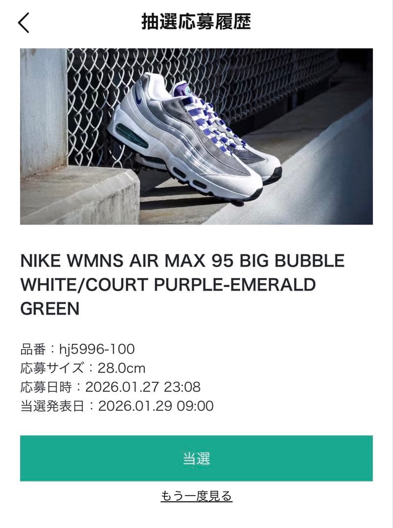 Nike Air Max 95 grape メンズ27.5cm