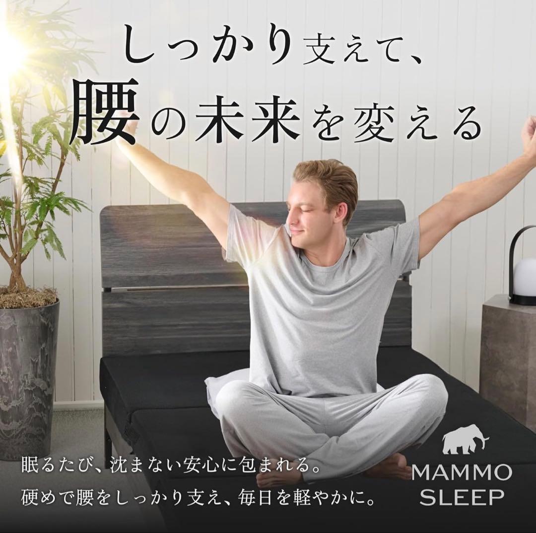 GOKUMIN マットレス 三つ折り シングル 10cm 硬め 70D 300N