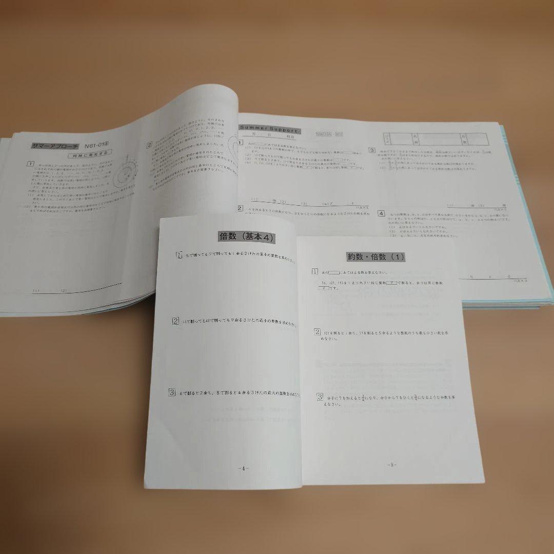 最新2025 SAPIX 小6 書込み少 デイリーサピックス 土特 講習 他