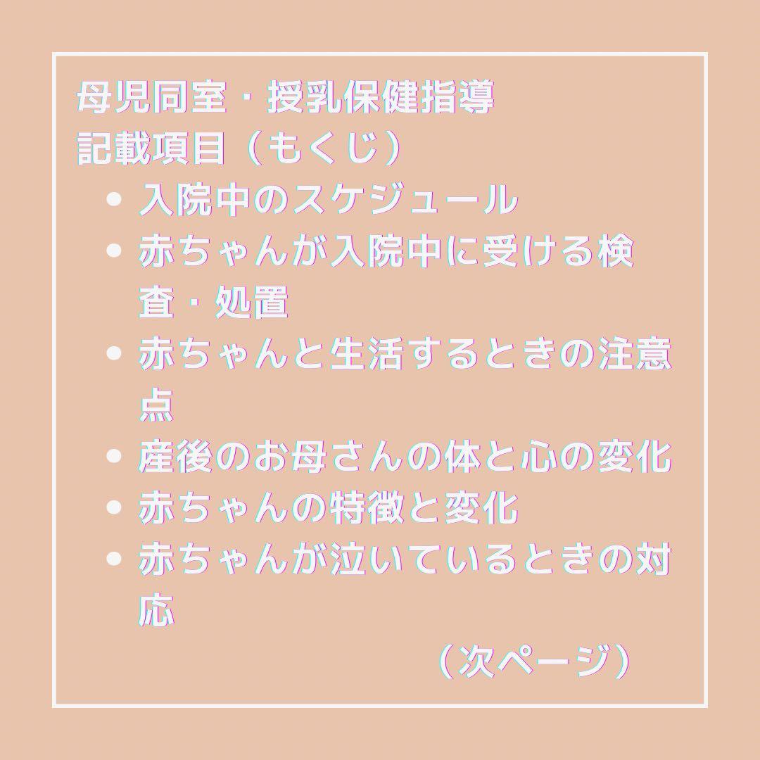 ❤️助産❤️［全部セット］保健指導パンフレット（媒体）&指導計画書　USBデータ