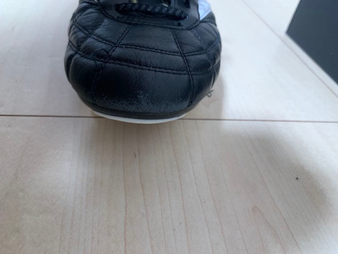 モレリア 2 クロスステッチ26cm