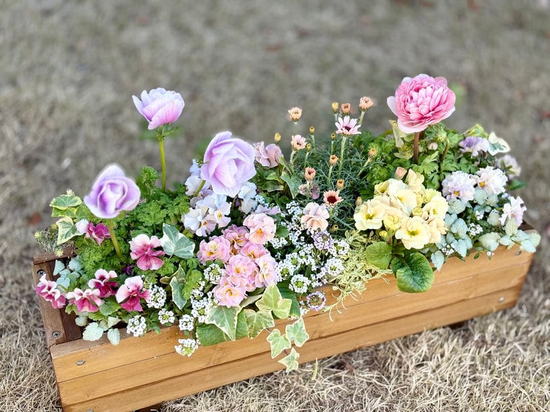 riruオーダーページ