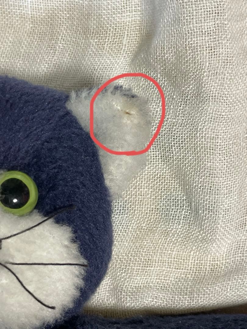 プレッツェル 貝戸由希　フレデリック