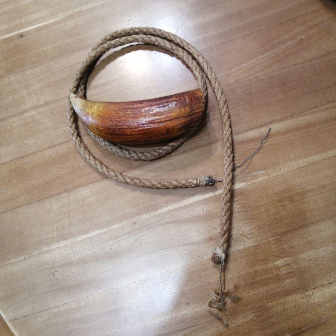 100年物鯨の歯（フィジーのタンブア）首からさげる286g