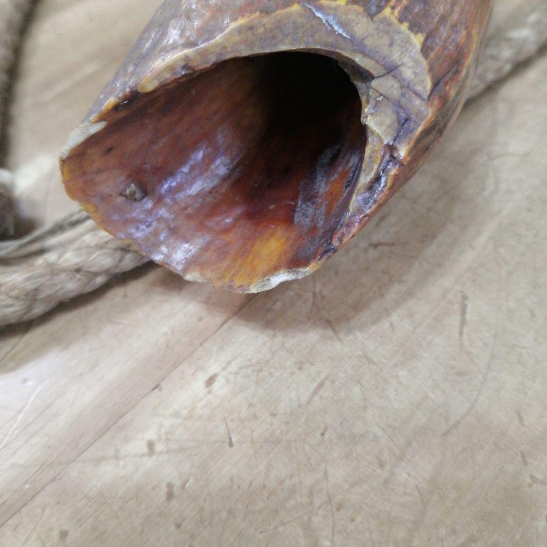 100年物鯨の歯（フィジーのタンブア）首からさげる286g