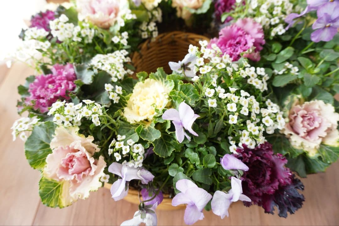 『葉牡丹と小花のロマンティックリース』寄せ植え　ハンギングリース　リース　花