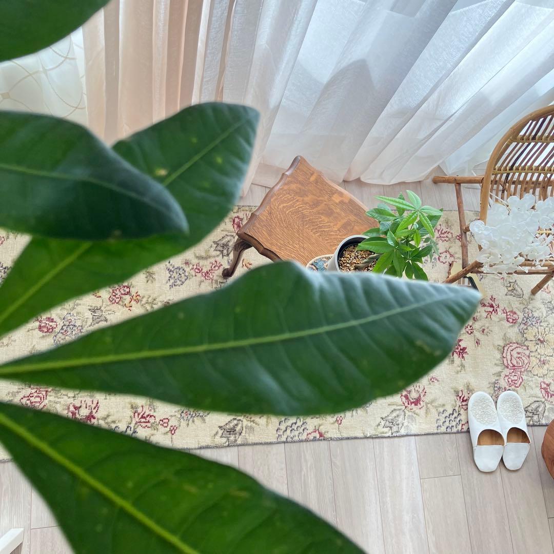 3m超レッドローズ77.5×322くすみイエローランナー　トルコヴィンテージラグ