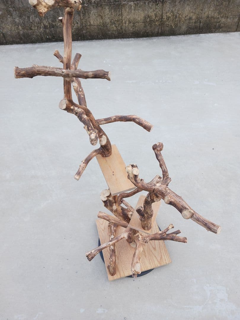 バードアスレチック バードアスレチックジム 止まり木、小鳥、流木(焼き入れ)