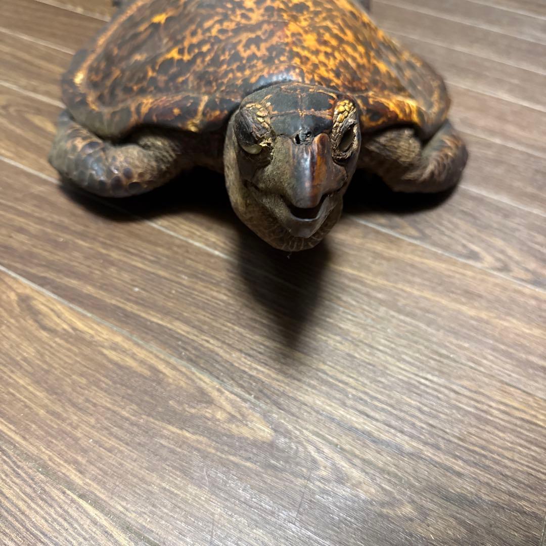 リアルな亀の置物中型カメ 茶色と黒の斑点模様
