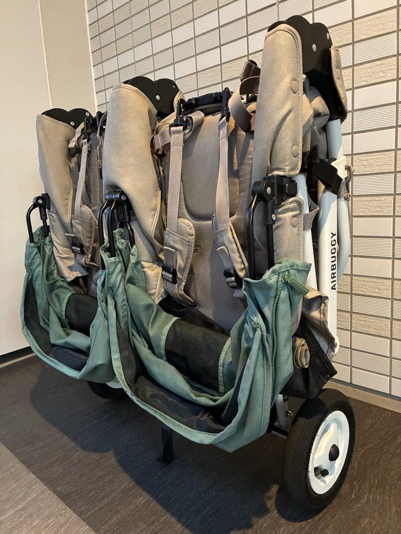 エアバギーココダブルEXフロムバース　グリーン（CLOVER）　付属品あり