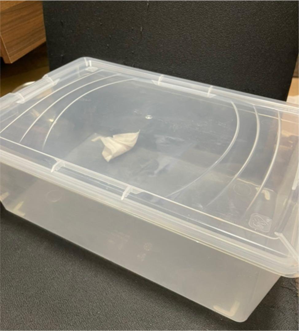 アイリスオーヤマ　US スニーカーボックス　8個セット