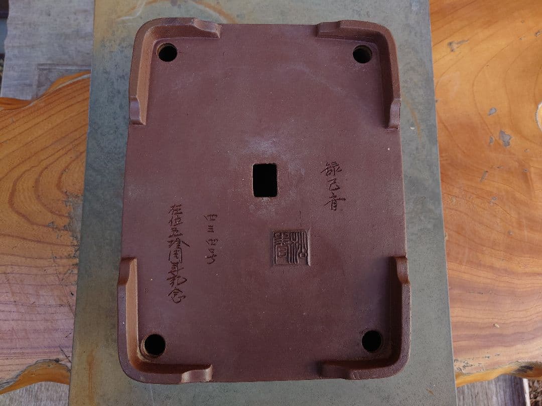 盆栽　鉢　緑巳斉春松　四三四号　在位五拾周年記念　幅31cm