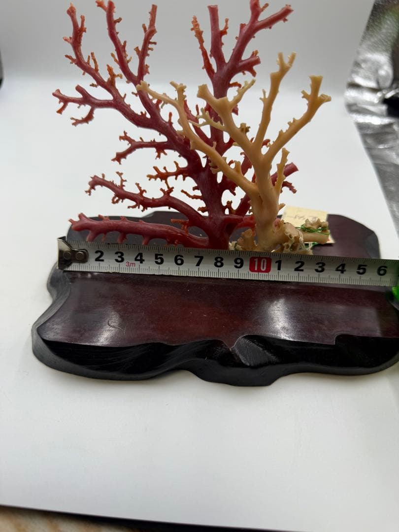 珊瑚の置物