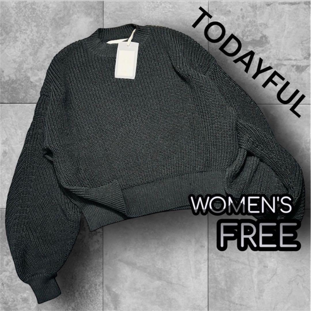 新品 TODAYFUL スリットスリーブニット Slit SleeveKnit