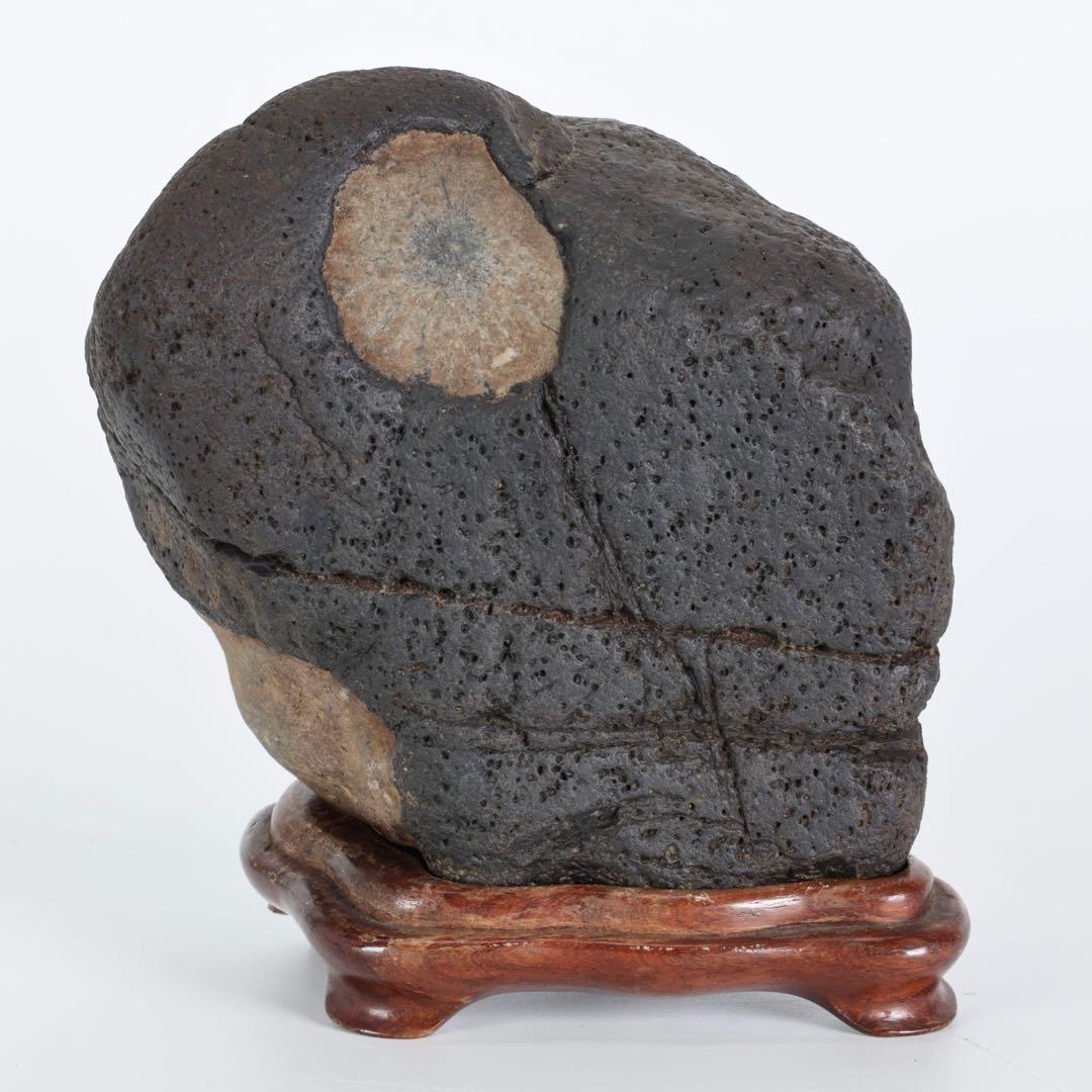 菊花石 花紋石 台座付 1.4kg 原石 鑑賞石 自然石 水石 盆石 牡丹石　蛙