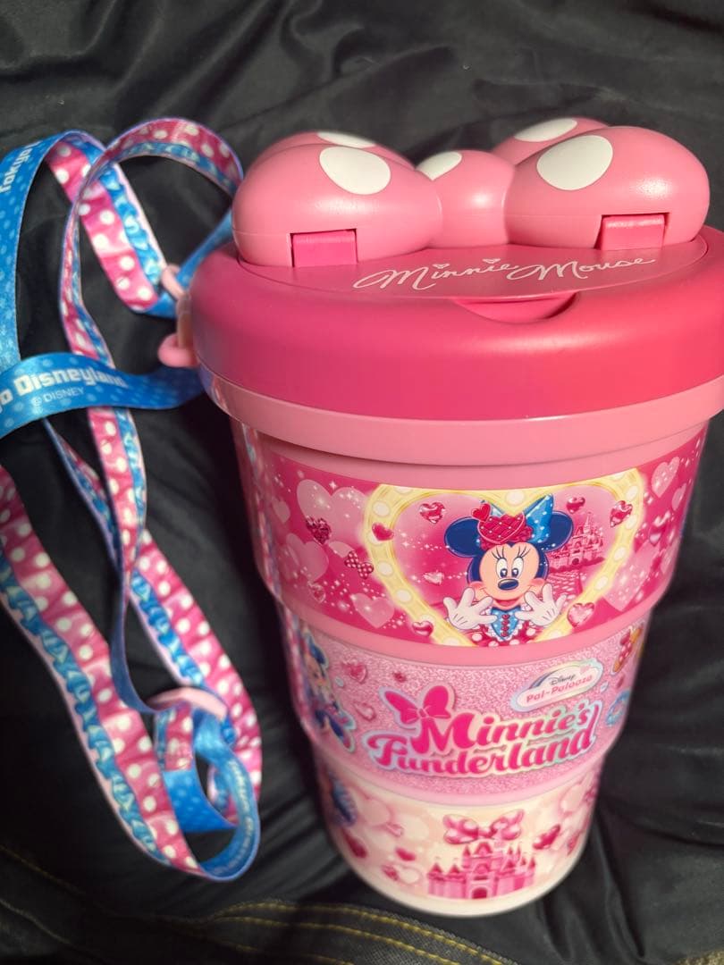 ポップコーンバケット　パルパルーザ　ミニー　ファンダーランド　ディズニーランド