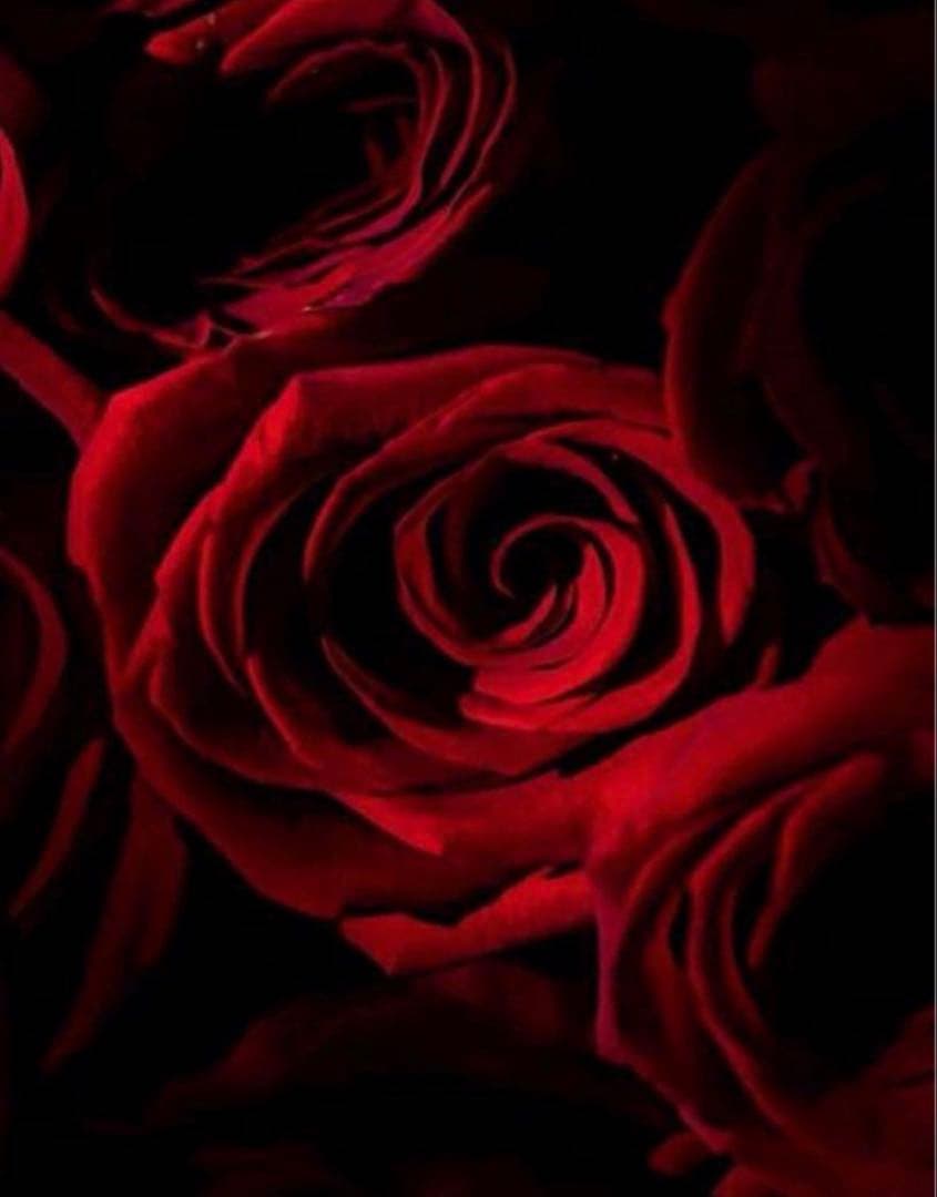 新品コーチCOACHパスキアコラボ二つ折り財布スナップウォレットホワイト.白