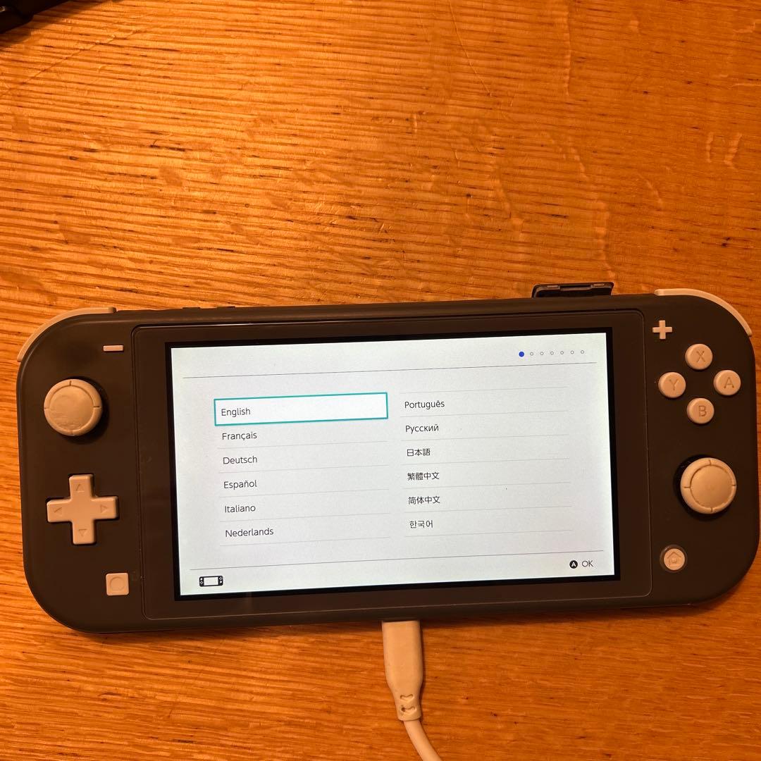 r*_様 Nintendo Switch Lite グレー 本体　箱無し　充電器