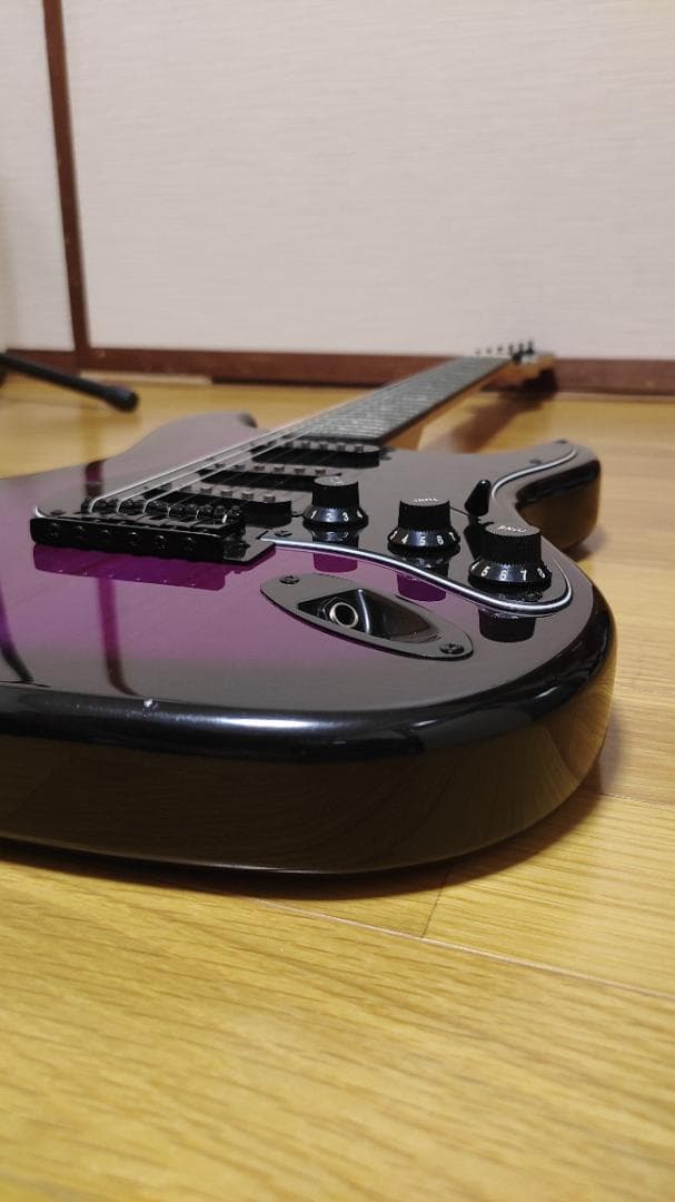 Selder エレキギター (8点セット)